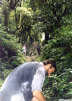 Arun Valley Trekking