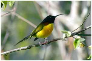 Bhutan Kultur Tour: 6 N�chte / 7 Tage