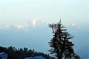 Ghorepani Annapurna Trek
