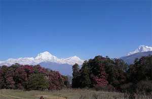 Ghorepani Poon Hill Trek