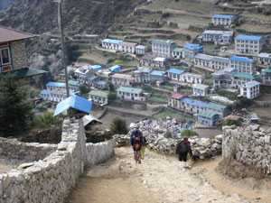 Instant Everest Trek