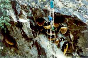 Mardi Himal Culture Honey Hunter Trek