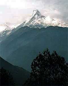 Mardi Himal Trek