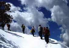 Chopta Chandra Shila Winter Trek