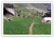 Ruinsara See - Yamunotri Pass Trek