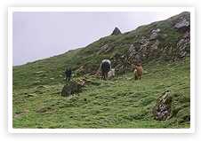 Khatling Gletscher - Vasuki See - Kedarnath Trek
