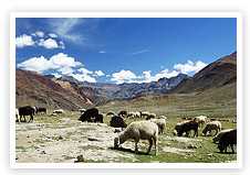 Hohe P�sse - Kunzum Pass-Chander Tal See