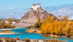 Ladakh Monastic Festival Tour - Pangong See