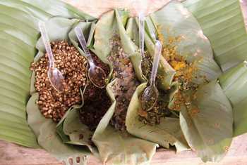 Adventure & Tribal Tour mit Dzukou Valley (10 Tage) - Kultur & Trekking Tour