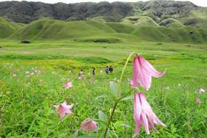 Adventure & Tribal Tour mit Dzukou Valley (10 Tage) - Kultur & Trekking Tour