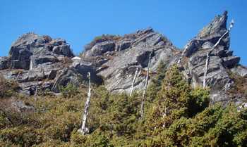 Adventure & Tribal Tour mit Dzukou Valley (10 Tage) - Kultur & Trekking Tour